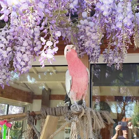 Le Clos Des Romarins 3* Saint-Palais-sur-Mer