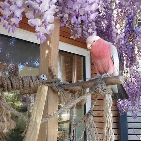 Le Clos Des Romarins 3*